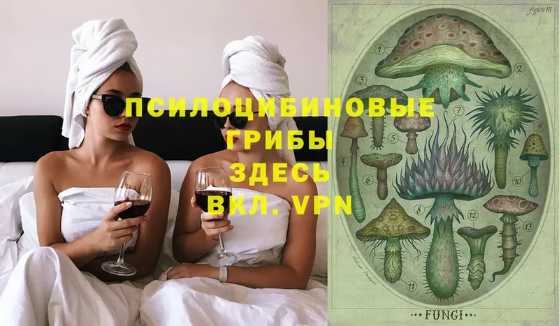 Псилоцибиновые грибы мицелий Вихоревка